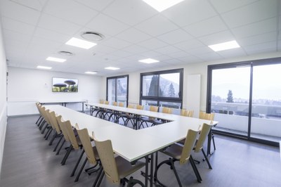 salle-seminaire-convention-annecy